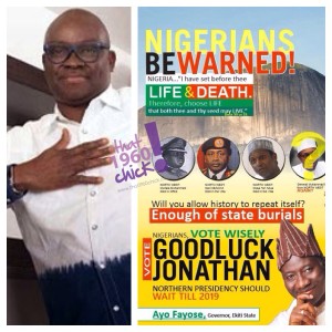 Fayose and the advert