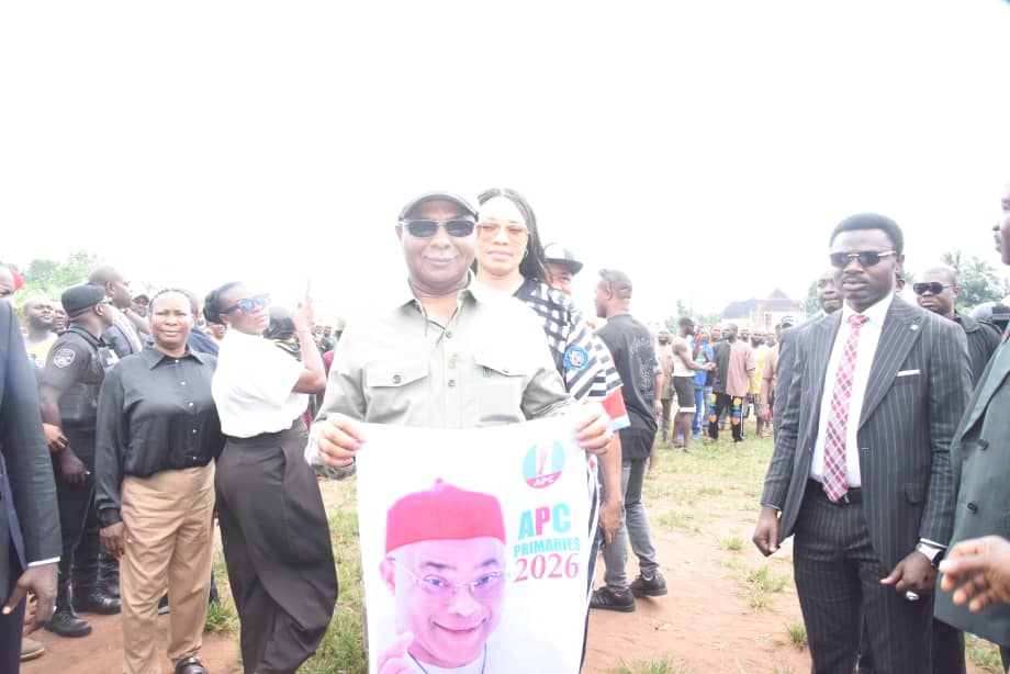 Uzodimma commends peaceful Imo APC senatorial primaries, predicts 2027 victory
